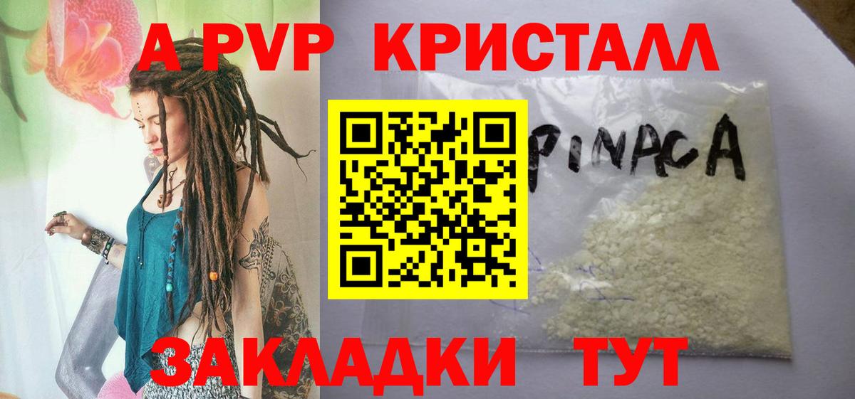 A PVP СК Дальнегорск