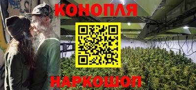 МДПВ Камышлов