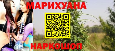 МДПВ Камышлов