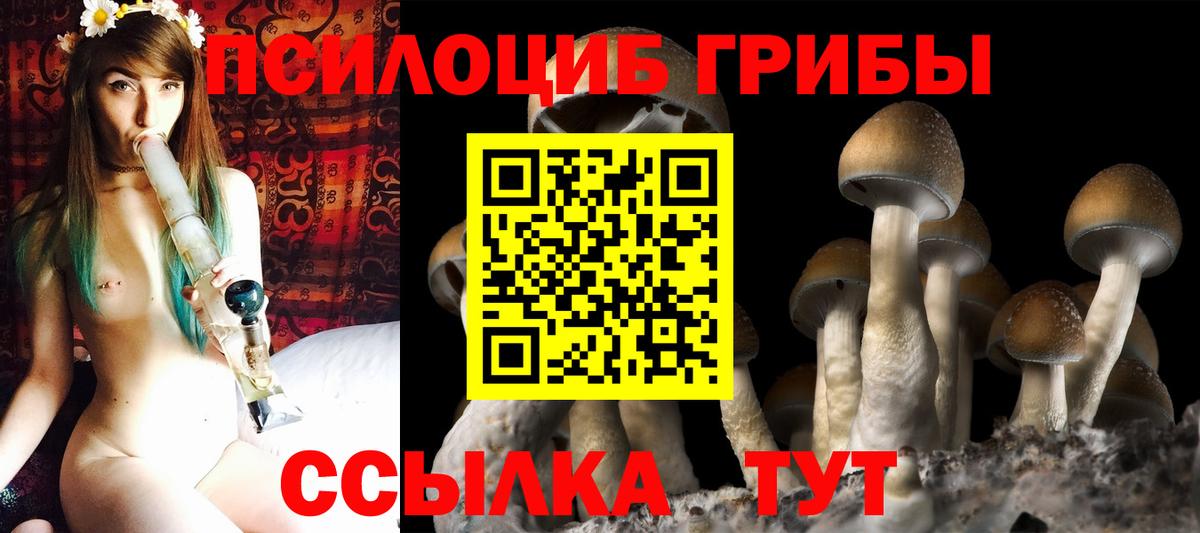 Дальнегорск  Псилоцибиновые грибы Psilocybine cubensis  Псилоцибиновые грибы Magic Shrooms  Вход с VPN 