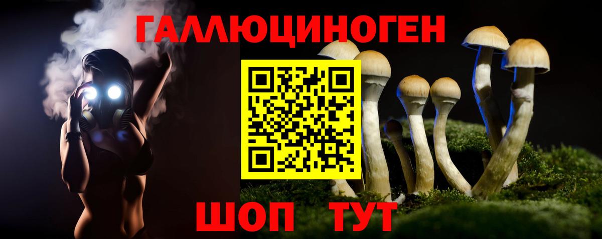 Псилоцибиновые грибы ЛСД Дальнегорск